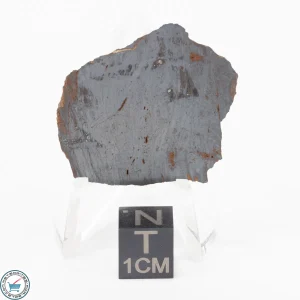 Pierceville Iron Meteorite 7.2g Slice