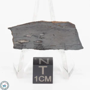 Pierceville Iron Meteorite 4.8g Slice