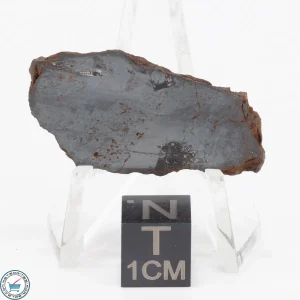 Pierceville Iron Meteorite 4.9g Slice