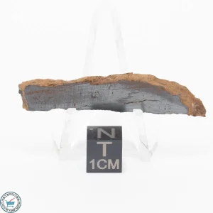 Pierceville Iron Meteorite 7.0g Slice