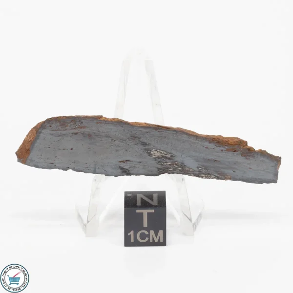 Pierceville Iron Meteorite 7.3g Slice
