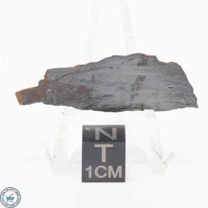 Pierceville Iron Meteorite 4.2g Slice