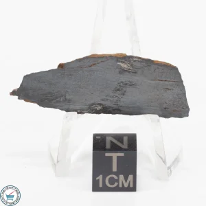 Pierceville Iron Meteorite 4.6g Slice