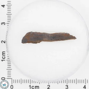Pierceville Iron Meteorite 0.9g Fragment