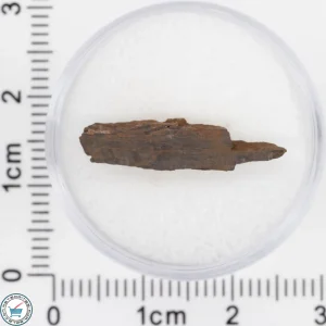 Pierceville Iron Meteorite 0.63g Fragment
