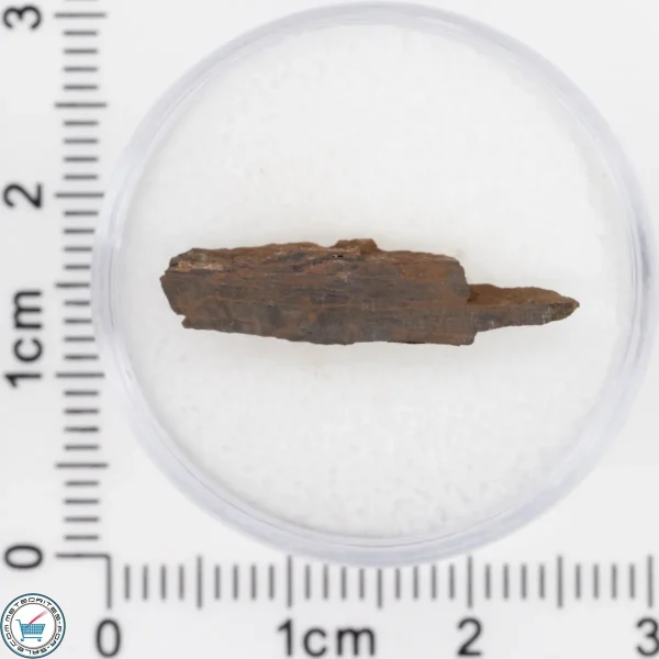 Pierceville Iron Meteorite 0.63g Fragment