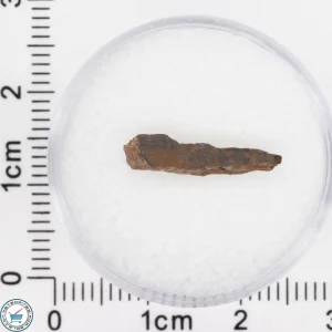 Pierceville Iron Meteorite 0.29g Fragment