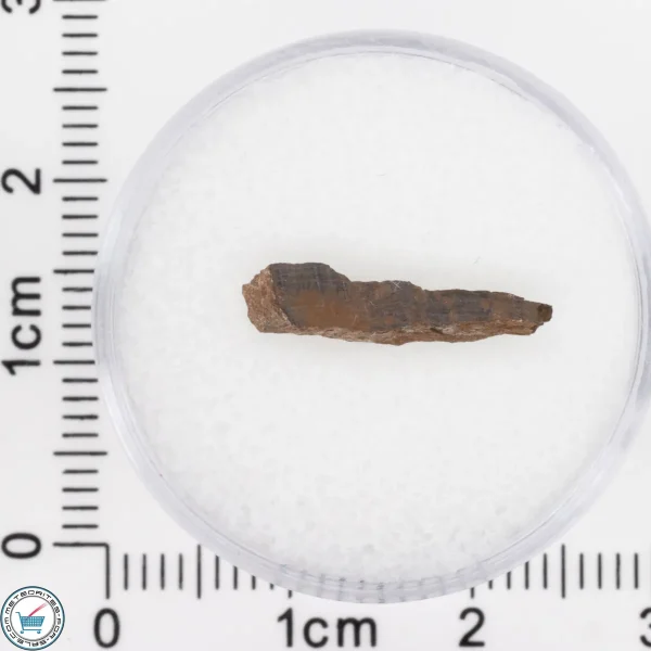 Pierceville Iron Meteorite 0.29g Fragment