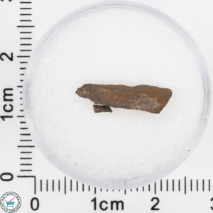Pierceville Iron Meteorite 0.25g Fragment