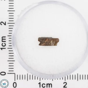 Pierceville Iron Meteorite 0.07g Fragment