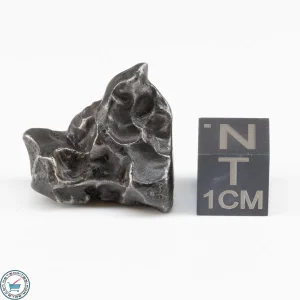Sikhote-Alin Meteorite  11.1g