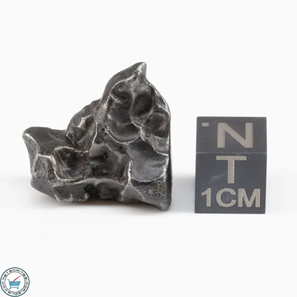 Sikhote-Alin Meteorite  11.1g