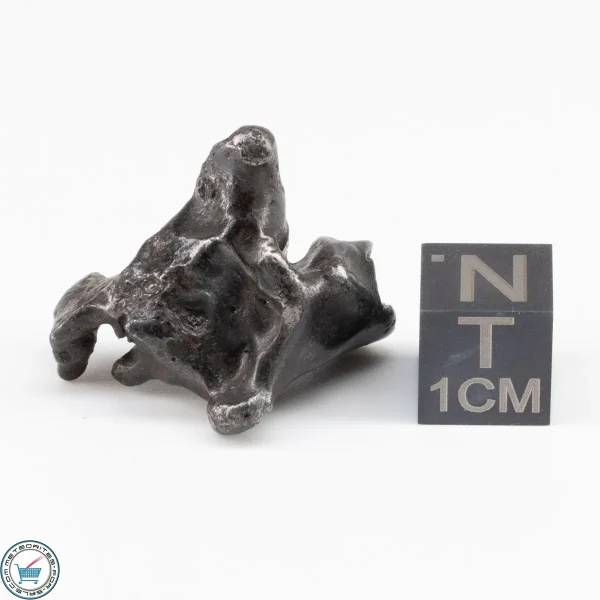 Sikhote-Alin Meteorite  11.9g