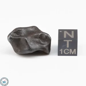 Sikhote-Alin Meteorite  13.5g