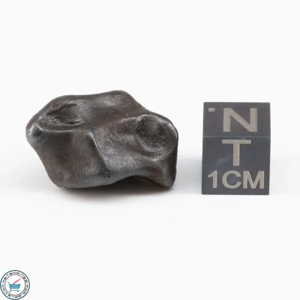 Sikhote-Alin Meteorite  13.5g
