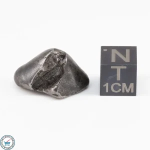 Sikhote-Alin Meteorite  9.3g