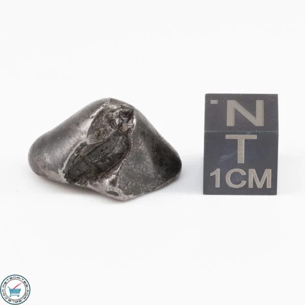 Sikhote-Alin Meteorite  9.3g