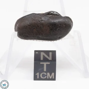 Sikhote-Alin Meteorite  14.3g