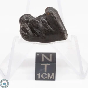 Sikhote-Alin Meteorite  10.7g
