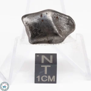 Sikhote-Alin Meteorite  13.4g