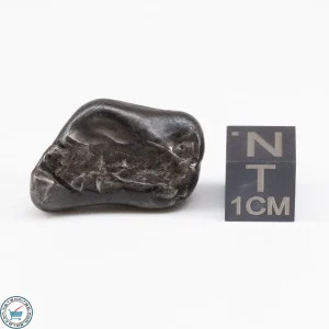 Sikhote-Alin Meteorite  14.7g