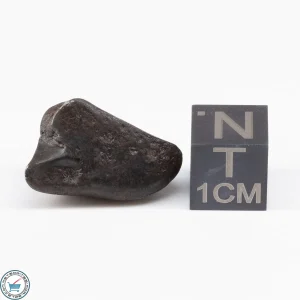 Sikhote-Alin Meteorite  7.6g