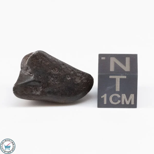Sikhote-Alin Meteorite  7.6g