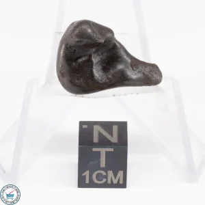 Sikhote-Alin Meteorite  7.3g