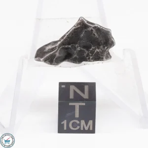 Sikhote-Alin Meteorite  4.8g