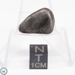 Sikhote-Alin Meteorite  8.5g
