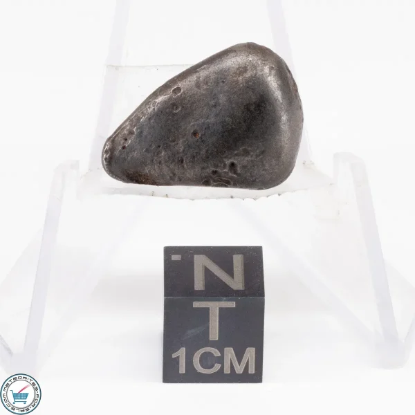 Sikhote-Alin Meteorite  8.5g