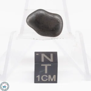 Sikhote-Alin Meteorite  3.9g