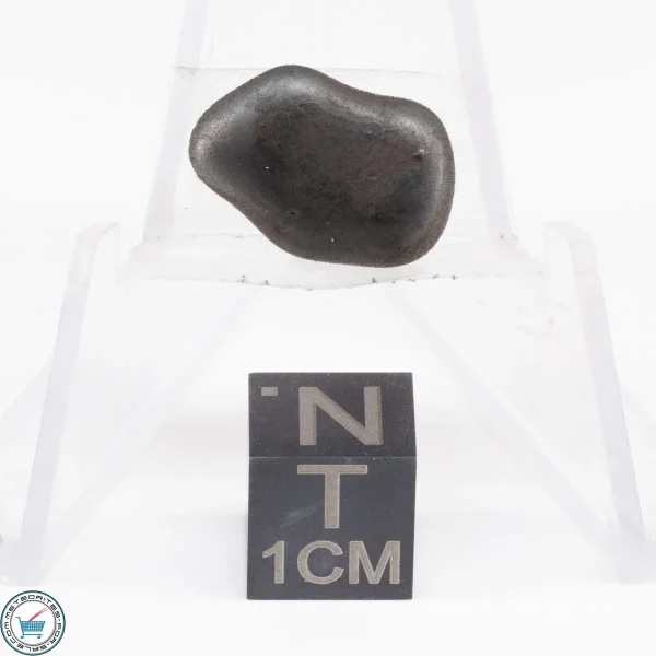 Sikhote-Alin Meteorite  3.9g
