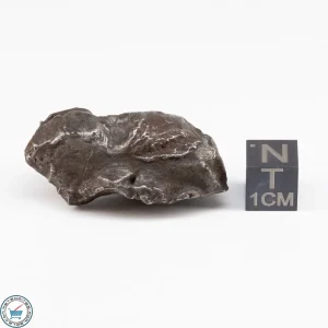 Sikhote-Alin Meteorite Shrapnel  37.4g