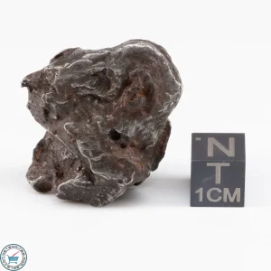 Sikhote-Alin Meteorite Shrapnel  39.5g