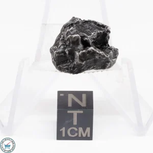 Sikhote-Alin Meteorite Shrapnel  6.1g