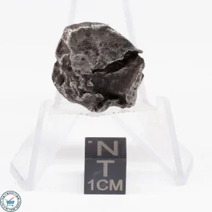 Sikhote-Alin Meteorite Shrapnel  12.7g