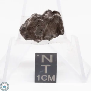 Sikhote-Alin Meteorite Shrapnel  4.1g