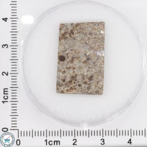 Tank Mountains Meteorite 3.07g Slice