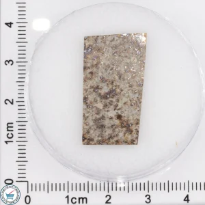 Tank Mountains Meteorite 3.11g Slice