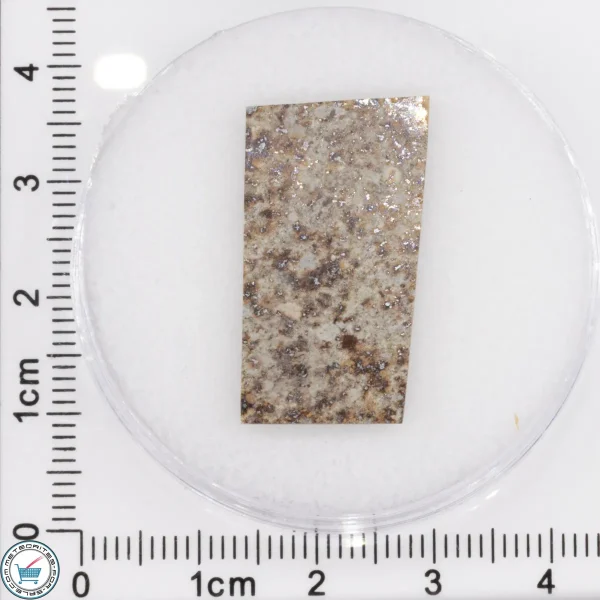 Tank Mountains Meteorite 3.11g Slice