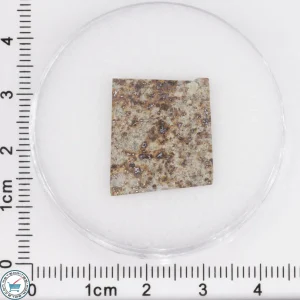 Tank Mountains Meteorite 1.54g Slice