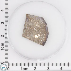 Tank Mountains Meteorite 2.84g Slice
