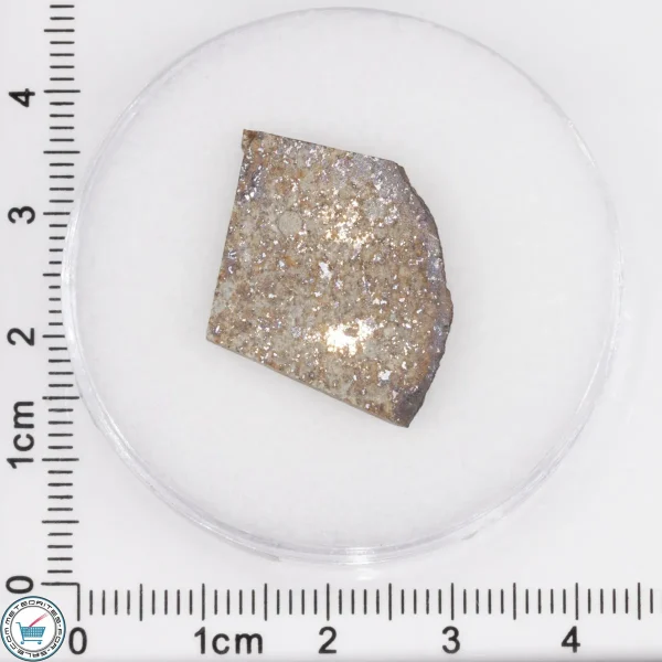 Tank Mountains Meteorite 2.84g Slice