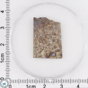 Tank Mountains Meteorite 2.92g Slice