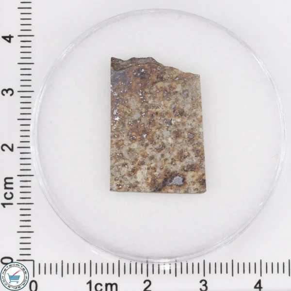 Tank Mountains Meteorite 2.92g Slice