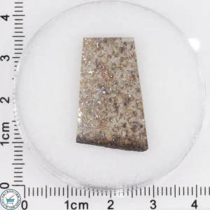 Tank Mountains Meteorite 2.81g Slice