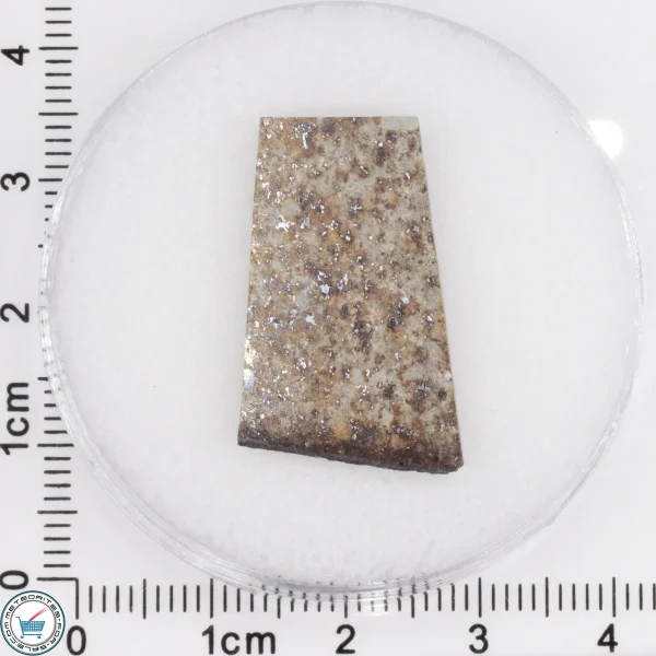 Tank Mountains Meteorite 2.81g Slice
