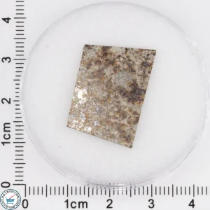Tank Mountains Meteorite 1.99g Slice