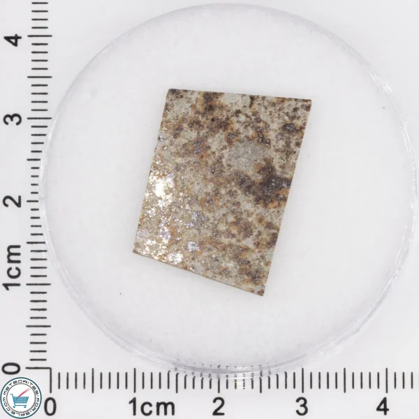 Tank Mountains Meteorite 1.99g Slice